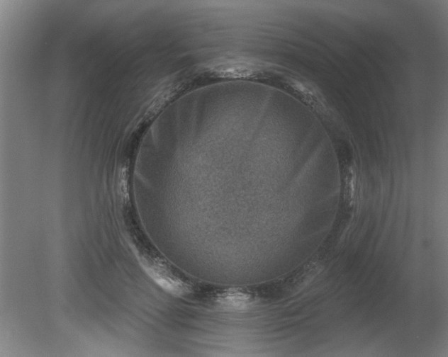 X0000080720598200612221229