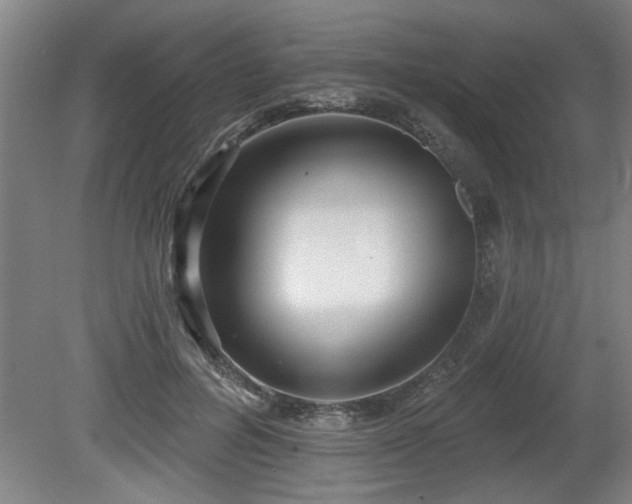 X0000080720600200612221229