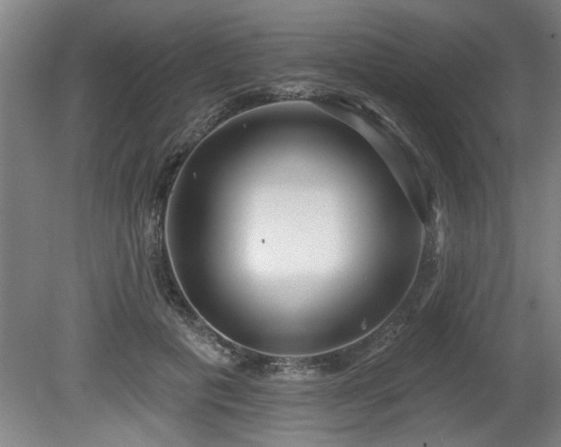 X0000080720601200612221229