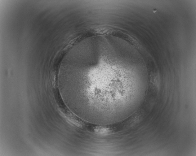 X0000080720602200612221229