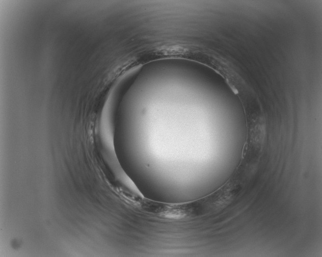 X0000080720604200612221229