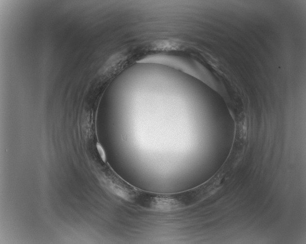 X0000080720605200612221229