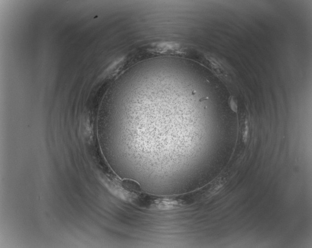 X0000080720607200612221229