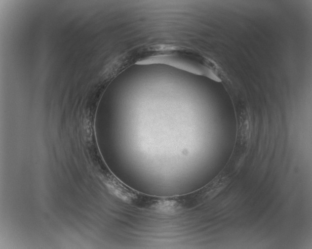 X0000080720609200612221229