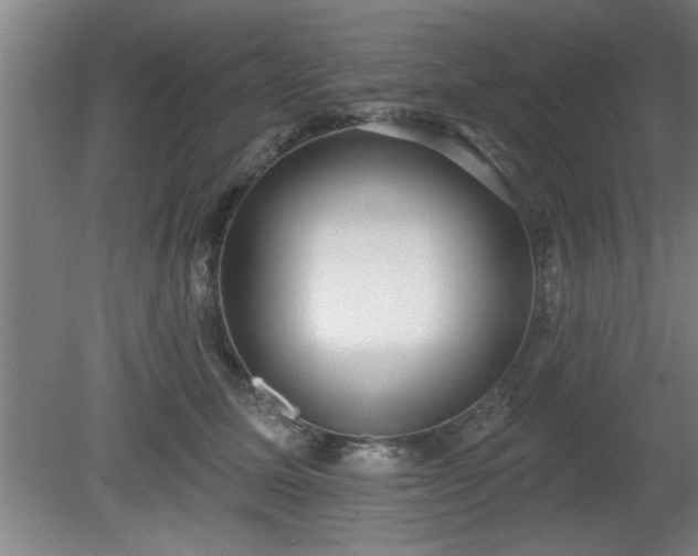 X0000080720611200612221229