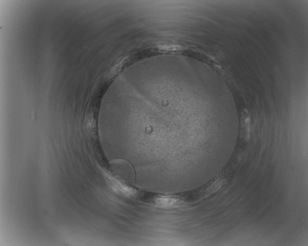 X0000080720614200612221229