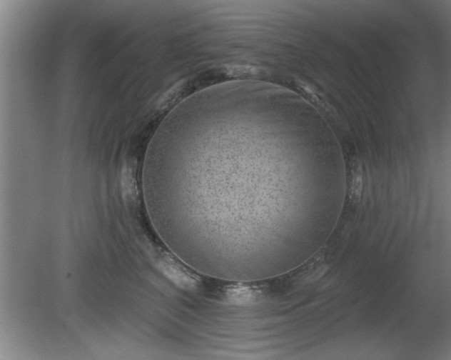 X0000080720616200612221229