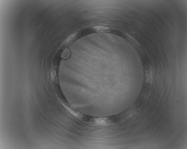 X0000080720618200612221229