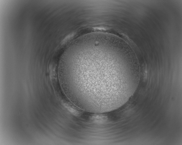 X0000080720619200612221229