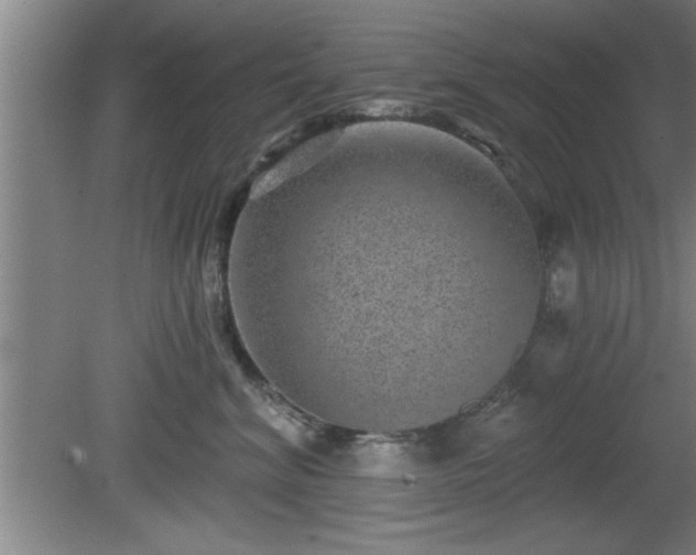 X0000080720620200612221229