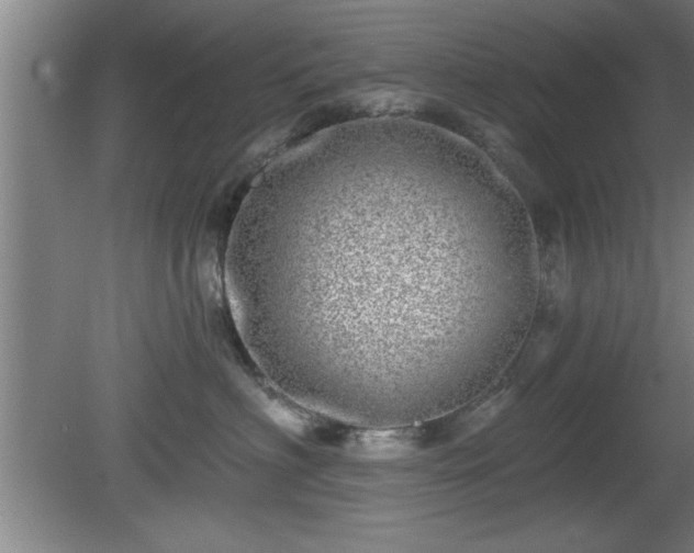 X0000080720622200612221229