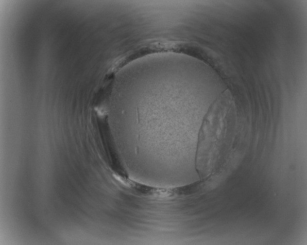 X0000080720624200612221228