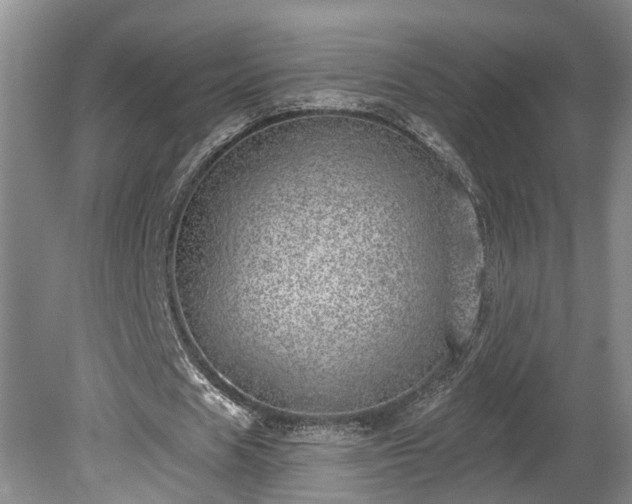 X0000080720625200612221228