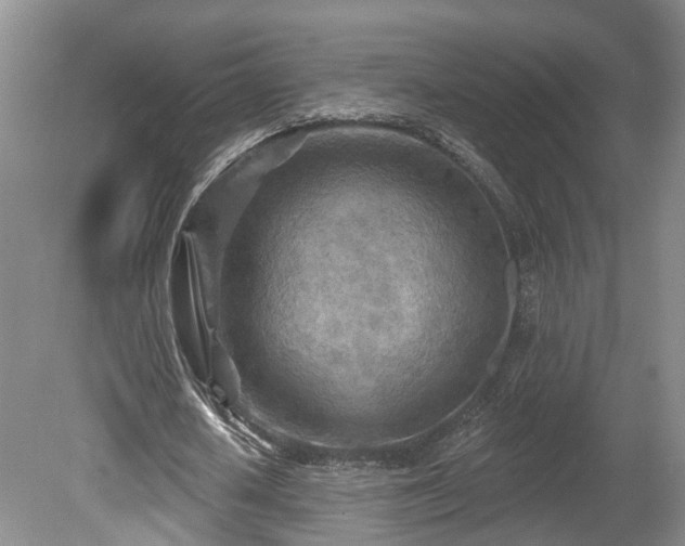 X0000080720626200612221228