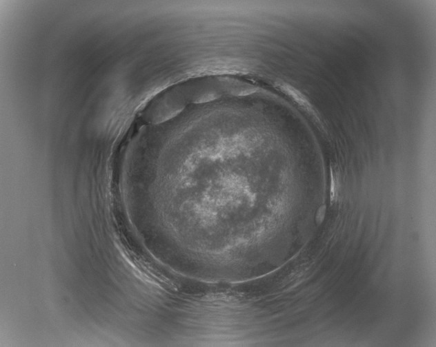 X0000080720627200612221228