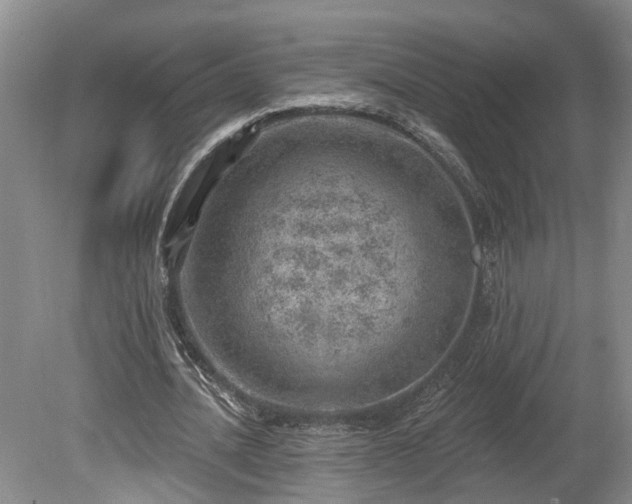 X0000080720628200612221228