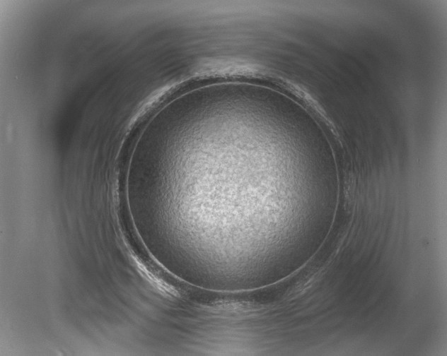 X0000080720629200612221228