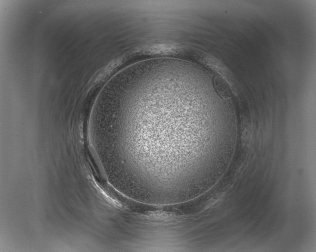 X0000080720633200612221228