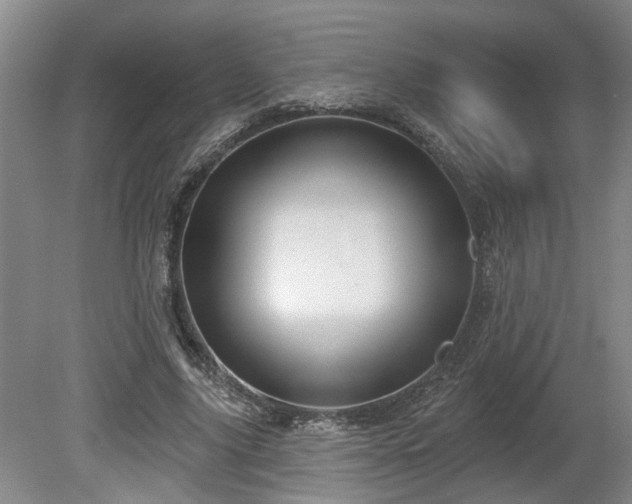 X0000080720635200612221228