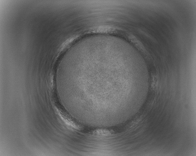 X0000080720636200612221228