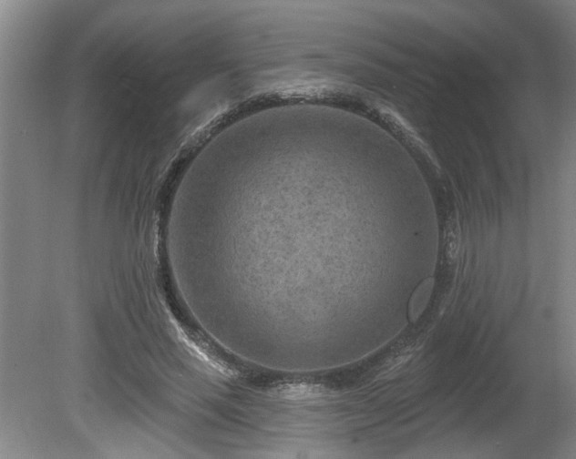 X0000080720637200612221228