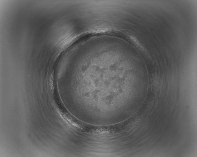 X0000080720640200612221228