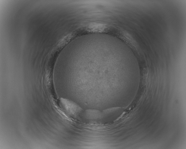 X0000080720641200612221228