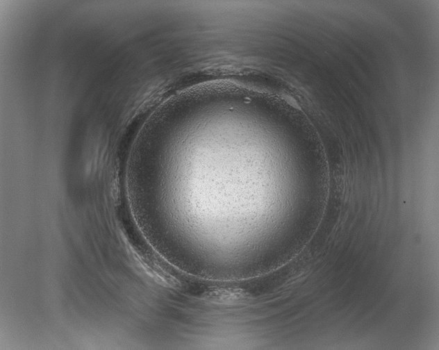 X0000080720642200612221228