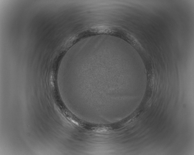 X0000080720643200612221228