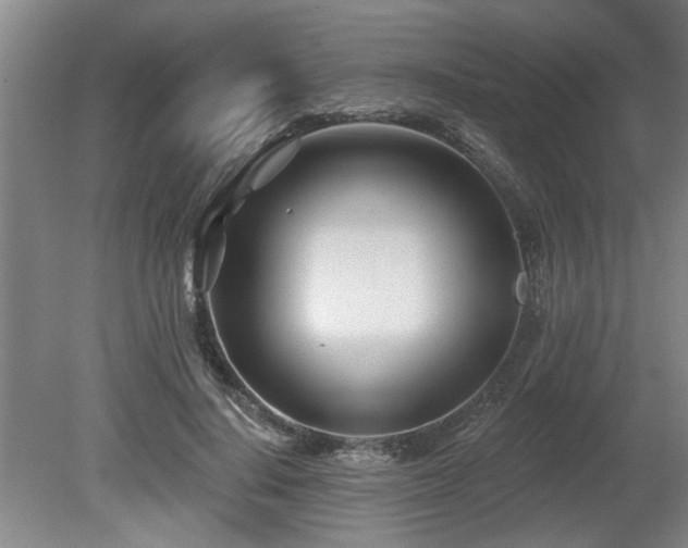 X0000080720644200612221228