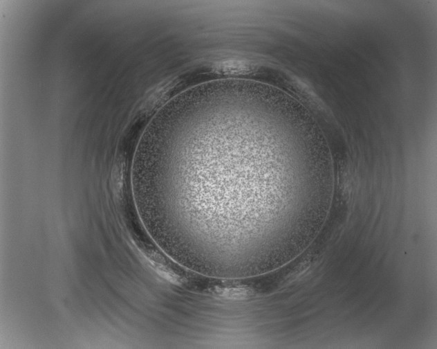 X0000080720645200612221228