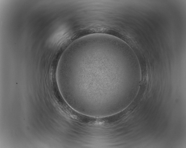 X0000080720647200612221228