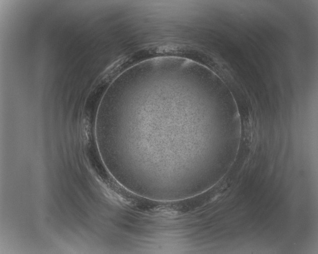 X0000080720648200612221228