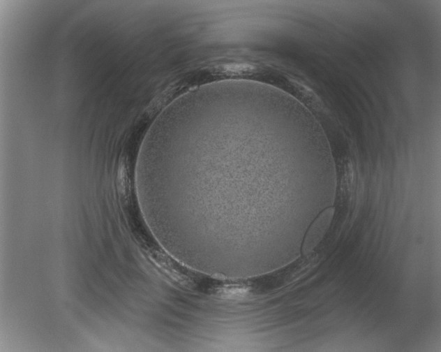 X0000080720651200612221228