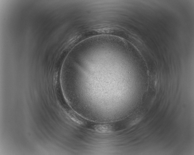 X0000080720652200612221228