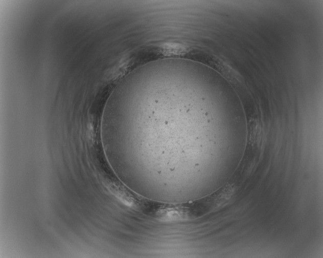 X0000080720655200612221228