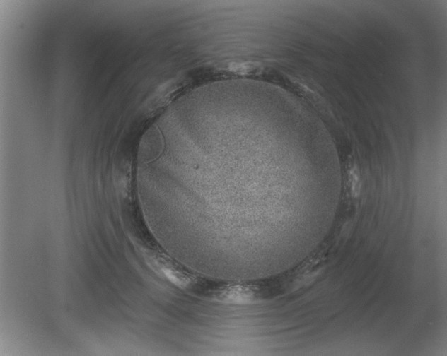 X0000080720656200612221228