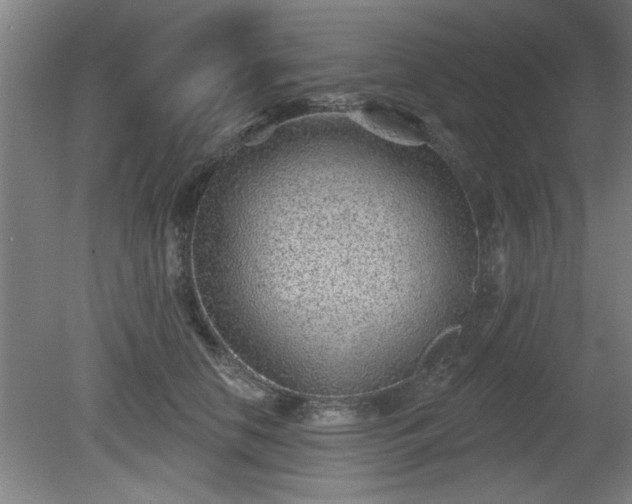 X0000080720658200612221228