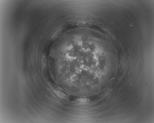 X0000080720659200612221228