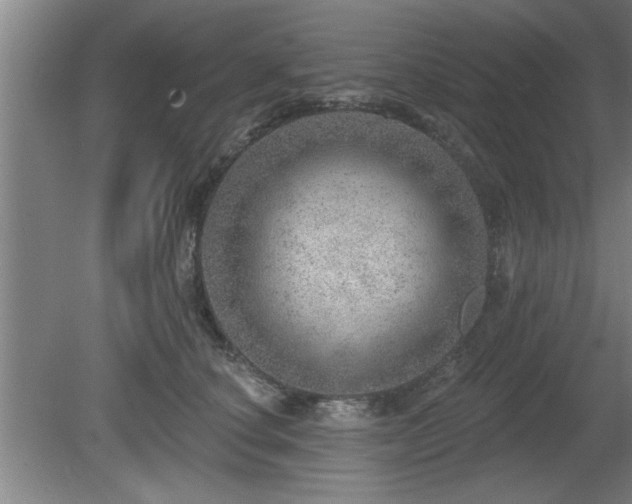 X0000080720660200612221228