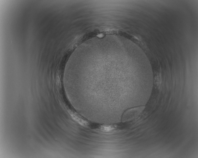 X0000080720662200612221228