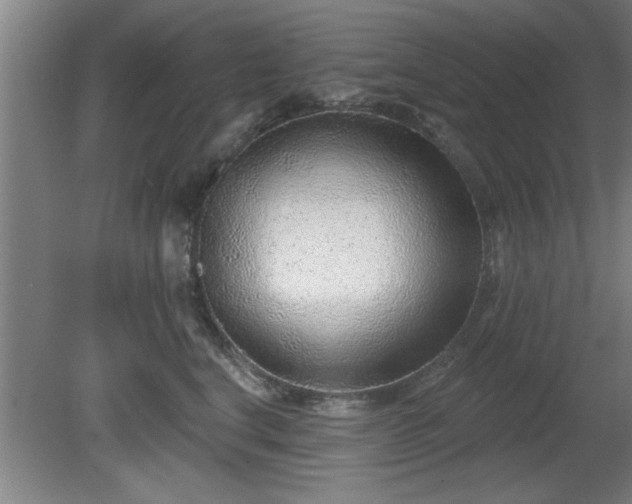 X0000080720664200612221228