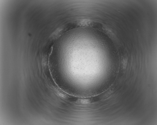 X0000080720665200612221228