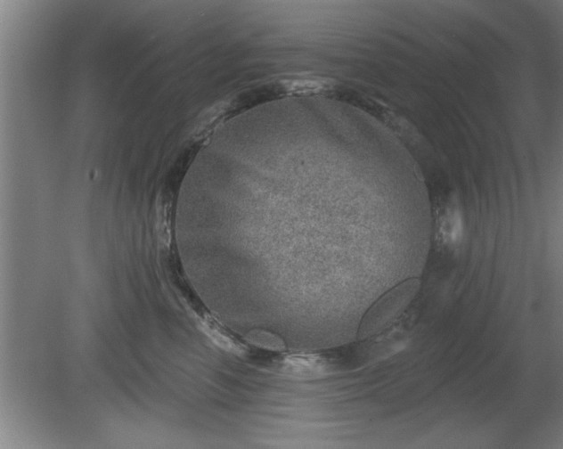 X0000080720666200612221228