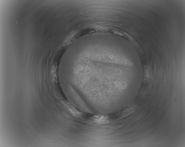 X0000080720667200612221228