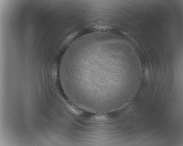 X0000080720668200612221228