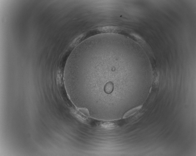 X0000080720669200612221228