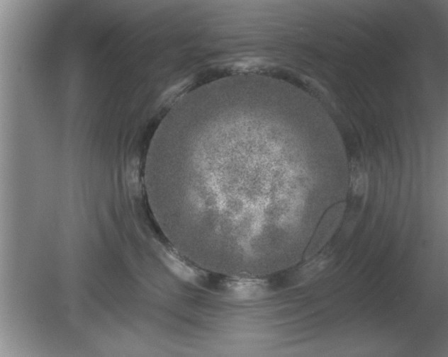 X0000080720670200612221228