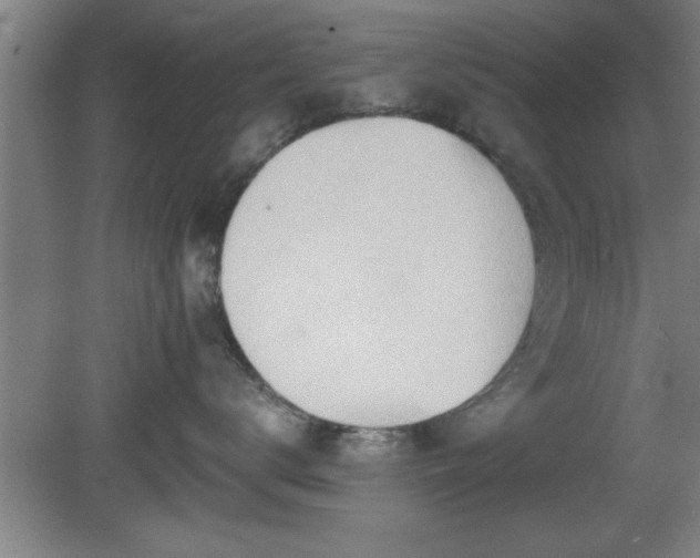 X0000080720672200612221228