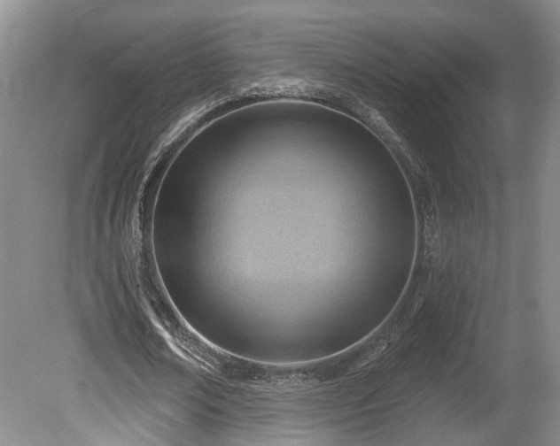 X0000080720674200612221228